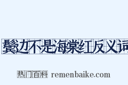 鬓边不是海棠红反义词是什么意思的图片